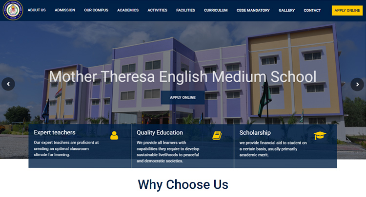 Website Development for Schools