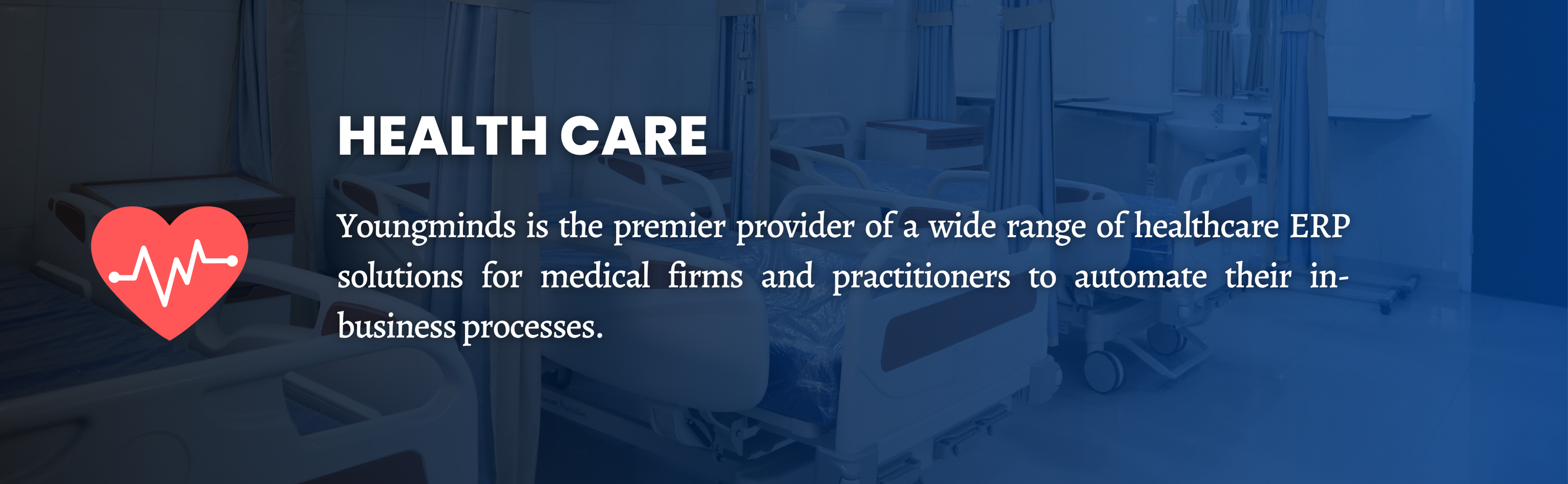 ERP software development company